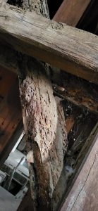 Zabytkowe konstrukcje drewniane. Wiatrak – Paltrak w Lubiążu