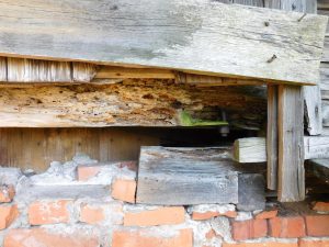 Zabytkowe konstrukcje drewniane. Wiatrak – Paltrak w Lubiążu