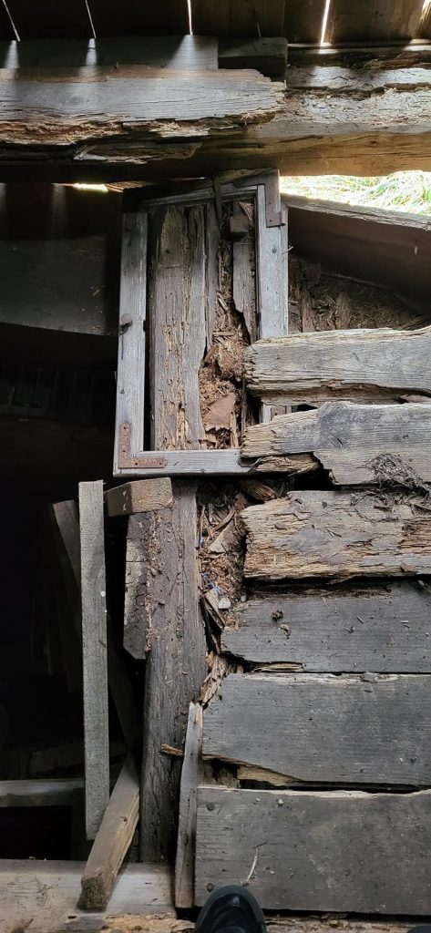 Ekspertyzy – badanie twardości drewna